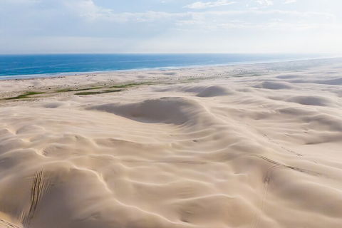 Port Stephens Bush, Beach And Sand Dune 4WD Passenger Tour - Yarra Valley Accommodation 2