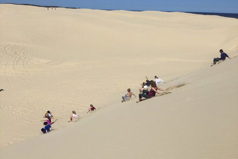 Port Stephens Bush, Beach And Sand Dune 4WD Passenger Tour - Yarra Valley Accommodation 4