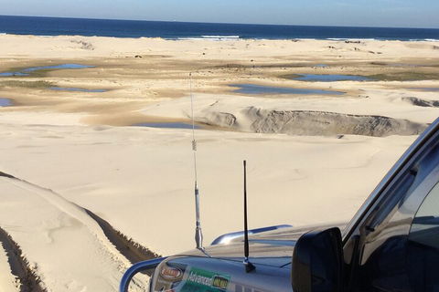 Port Stephens Bush, Beach And Sand Dune 4WD Passenger Tour - Yarra Valley Accommodation 5