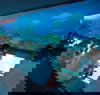 Great Barrier Reef Day Cruise to Reefworld - Yarra Valley Accommodation