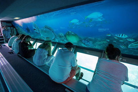 Great Barrier Reef Day Cruise To Reefworld - Yarra Valley Accommodation 0