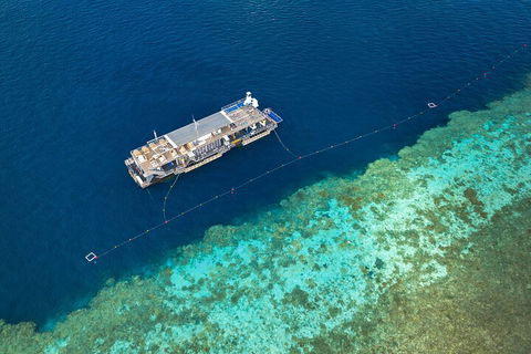 Great Barrier Reef Day Cruise To Reefworld - Yarra Valley Accommodation 2