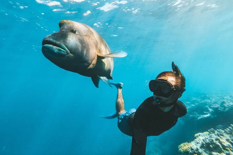 Great Barrier Reef Day Cruise To Reefworld - Yarra Valley Accommodation 3