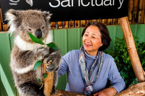 Moonlit Sanctuary Wildlife Conservation Park Daytime General Entry Ticket - Yarra Valley Accommodation 0