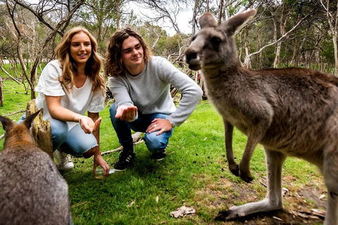 Moonlit Sanctuary Wildlife Conservation Park Daytime General Entry Ticket - Yarra Valley Accommodation 2