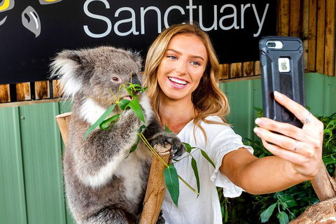 Moonlit Sanctuary Wildlife Conservation Park Daytime General Entry Ticket - Yarra Valley Accommodation 4