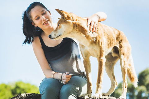 Moonlit Sanctuary Wildlife Conservation Park Daytime General Entry Ticket - Yarra Valley Accommodation 5