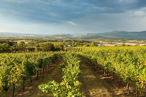Yarra Valley Local Produce And Wine Tasting Tour - Yarra Valley Accommodation 3