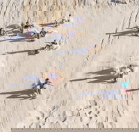 Unlimited Sandboarding - Yarra Valley Accommodation