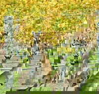 Margaret River Indulge and Discover Day Tour - Yarra Valley Accommodation