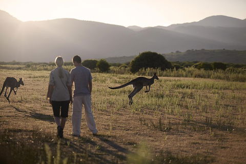 Overnight Daylesford And Macedon Ranges Gourmet Food Trail Tour From Melbourne - Yarra Valley Accommodation 1