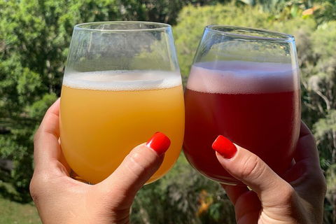 Hipster Sipster Brewery And Distillery Tour - Yarra Valley Accommodation 3