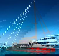 Passions of Paradise Great Barrier Reef Snorkel and Dive Cruise from Cairns by Luxury Catamaran - Yarra Valley Accommodation