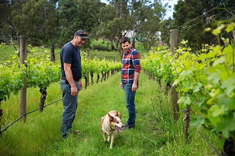 LGBT+ Friendly Full Day Yarra Valley & Dandenong Ranges Private Tour - Yarra Valley Accommodation 4
