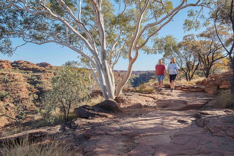 3-Day Tour From Uluru (Ayers Rock) To Alice Springs Via Kings Canyon - Yarra Valley Accommodation 1