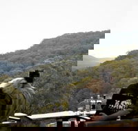 Taste of the Blue Mountains - Lunch  Wine tasting Beer Cider  Gin Tasting - Yarra Valley Accommodation