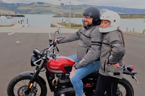 Triumph Street Scrambler 900cc - Yarra Valley Accommodation 1
