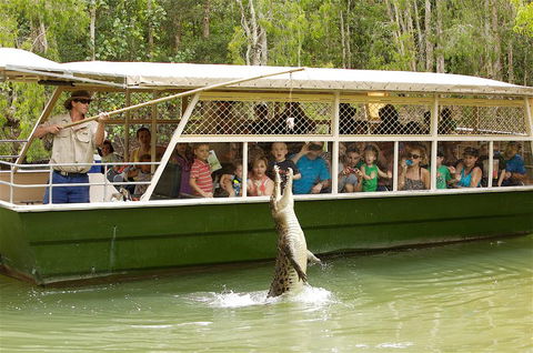 Hartley's Crocodile Adventure Half-Day Tour - Yarra Valley Accommodation 0