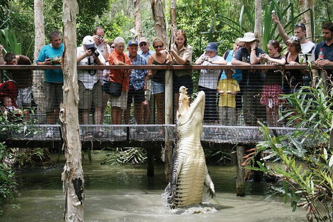 Hartley's Crocodile Adventure Half-Day Tour - Yarra Valley Accommodation 1