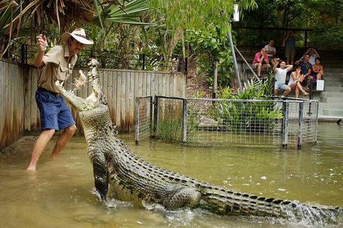 Hartley's Crocodile Adventure Half-Day Tour - Yarra Valley Accommodation 2