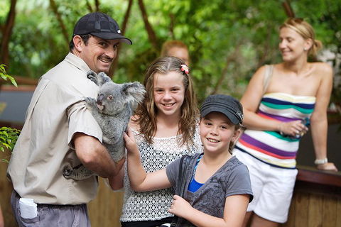 Hartley's Crocodile Adventure Half-Day Tour - Yarra Valley Accommodation 3