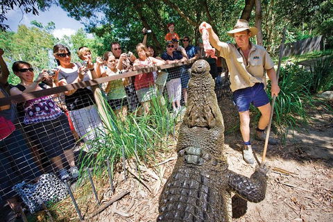 Hartley's Crocodile Adventure Half-Day Tour - Yarra Valley Accommodation 4
