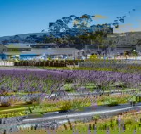 Private Hobart Discover South East Food and Scenic Tour - Yarra Valley Accommodation