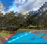 Tahune Airwalk Active Day Trip from Hobart Including Hastings Caves - Yarra Valley Accommodation