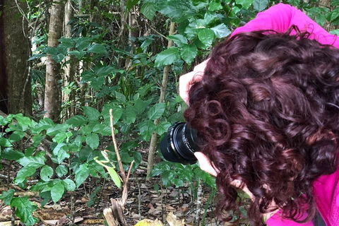 Let's Go Buggin & Let's Go Shroomin - Photography & Nature Walking Tours - Yarra Valley Accommodation 1