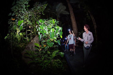 Let's Go Buggin & Let's Go Shroomin - Photography & Nature Walking Tours - Yarra Valley Accommodation 4