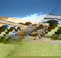 Richmond Historic Afternoon Tour from Hobart - Yarra Valley Accommodation