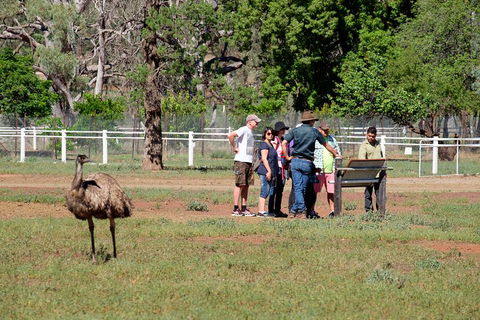 Yura Udnyu - Our Culture, Your Culture (Aboriginal Cultural Walk) - Yarra Valley Accommodation 1