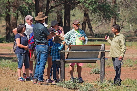 Yura Udnyu - Our Culture, Your Culture (Aboriginal Cultural Walk) - Yarra Valley Accommodation 2