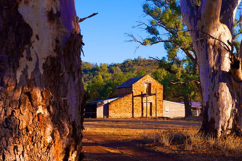Yura Udnyu - Our Culture, Your Culture (Aboriginal Cultural Walk) - Yarra Valley Accommodation 4