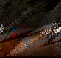 Alice Springs Desert Park Nocturnal Tour - Yarra Valley Accommodation