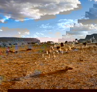 Mount Conner 4WD Small Group Tour from Ayers Rock including Dinner - Yarra Valley Accommodation