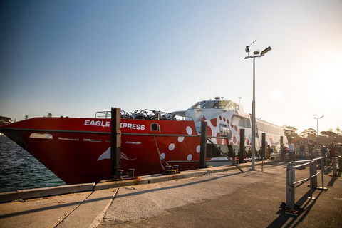 Rottnest Island Round-Trip Ferry From Perth Or Fremantle - Yarra Valley Accommodation 2