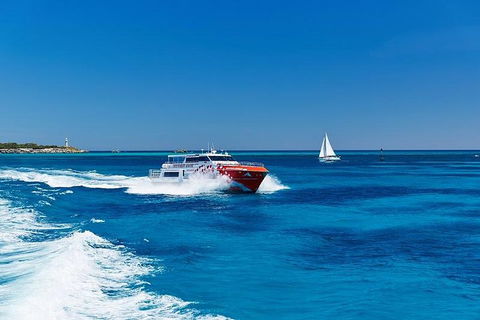 Rottnest Island Round-Trip Ferry From Perth Or Fremantle - Yarra Valley Accommodation 4