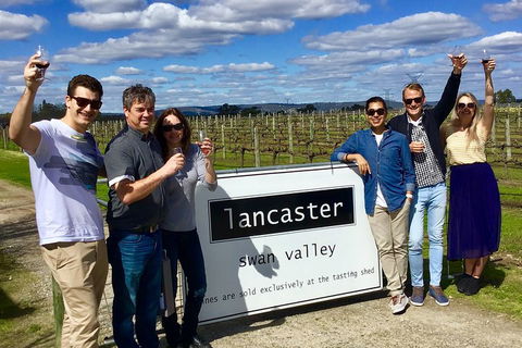 Swan Valley Tour From Perth: Wine, Beer And Chocolate Tastings - Yarra Valley Accommodation 1