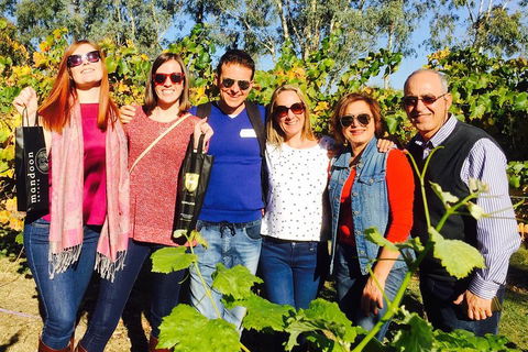 Swan Valley Tour From Perth: Wine, Beer And Chocolate Tastings - Yarra Valley Accommodation 2