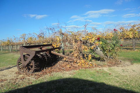 Swan Valley Tour From Perth: Wine, Beer And Chocolate Tastings - Yarra Valley Accommodation 3