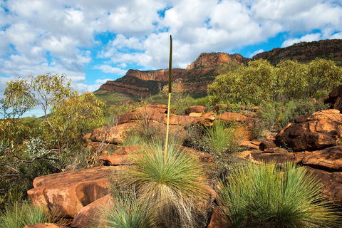 6-Day Eyre Peninsula & Flinders Ranges Adventure Tour - Yarra Valley Accommodation 1