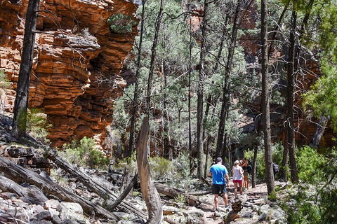 6-Day Eyre Peninsula & Flinders Ranges Adventure Tour - Yarra Valley Accommodation 5