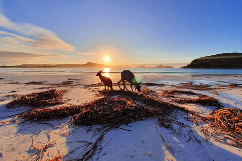 10-Day Perth To Adelaide Adventure Tour - Yarra Valley Accommodation 1