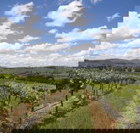 Hunter Valley Wine Tour from Sydney incl Lunch Cheese Chocolate and Distillery - Yarra Valley Accommodation