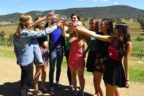 Hunter Valley Wine Tour From Sydney Incl Lunch, Cheese, Chocolate And Distillery - Yarra Valley Accommodation 3