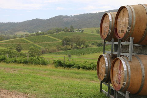 Hunter Valley Wine Tour From Sydney Incl Lunch, Cheese, Chocolate And Distillery - Yarra Valley Accommodation 5