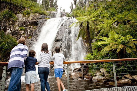 Lake Mountain Snow Trip Including Yarra Valley Chocolaterie From Melbourne - Yarra Valley Accommodation 0