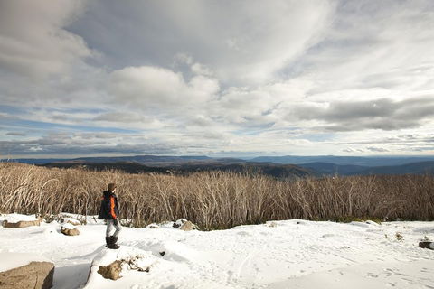 Lake Mountain Snow Trip Including Yarra Valley Chocolaterie From Melbourne - Yarra Valley Accommodation 5