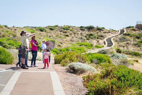 Margaret River Coastal And Wildlife Eco Trip From Busselton Or Dunsborough - Yarra Valley Accommodation 0